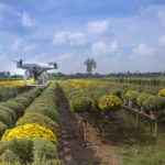 7 Trends in Agriculture to watch in 2022