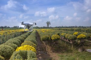 7 Trends in Agriculture to watch in 2022
