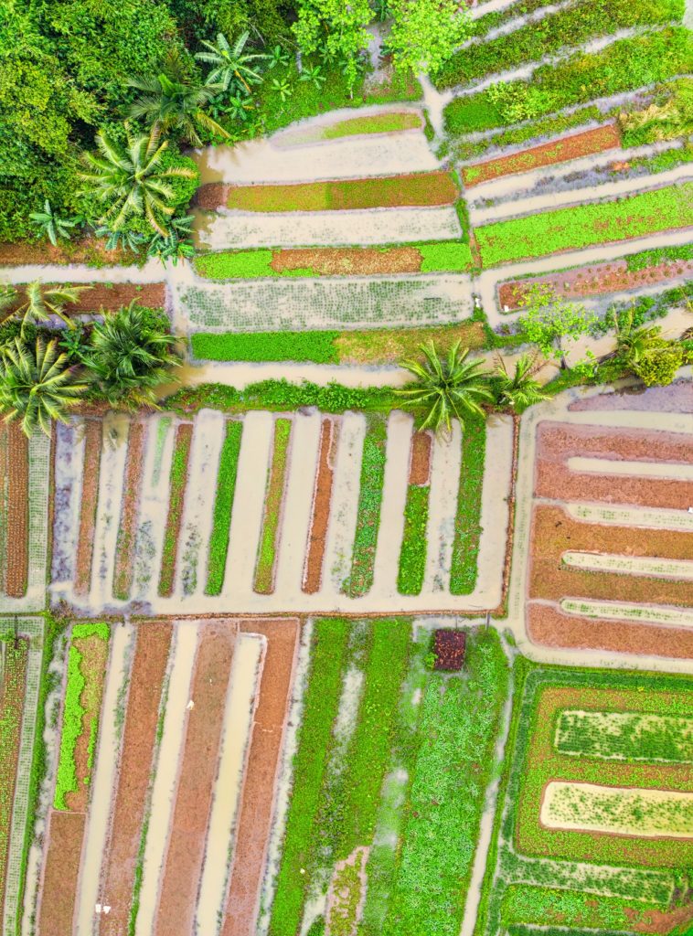 Aerial Imaging Is Being Used More Frequently Aerial Imaging Is Being Used More Frequently