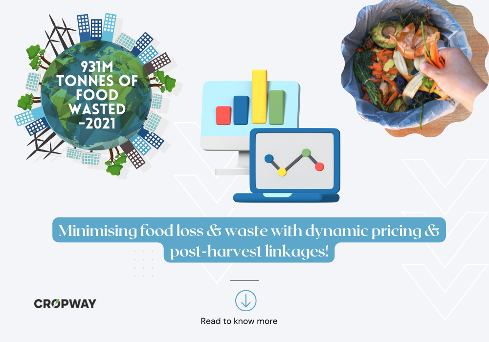 Minimalising Food Loss And Waste With Dynamic Pricing And Post Harvest Linkages