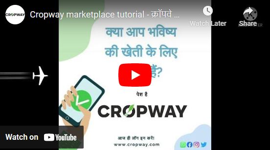 cropway marketplace