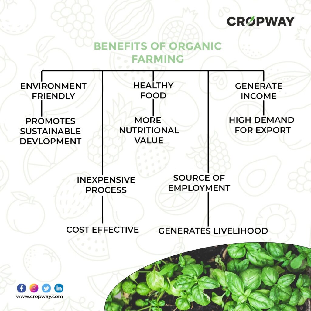 
BENEFITS OF ORGANIC FARMING AND SUSTAINABLE AGRICULTURE
