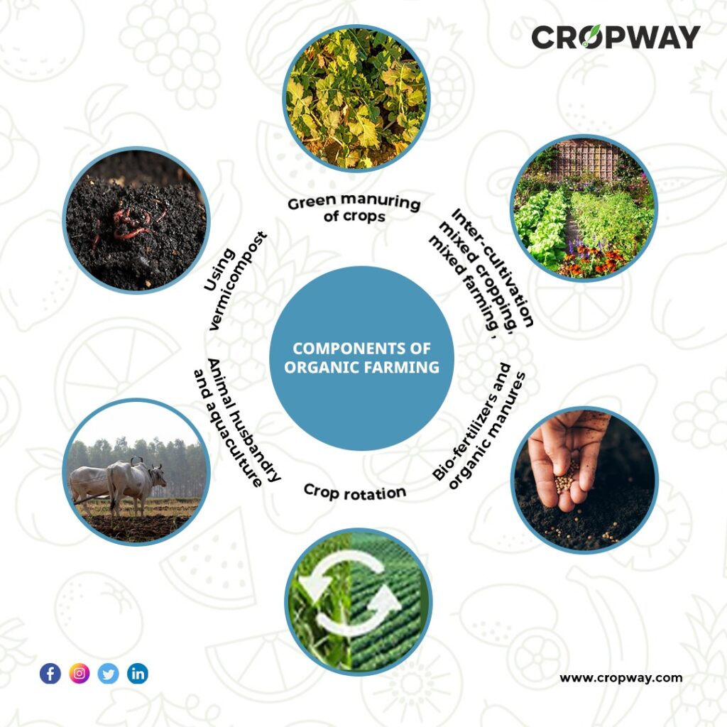 DIFFERENCE BETWEEN ORGANIC FARMING AND SUSTAINABLE AGRICULTURE