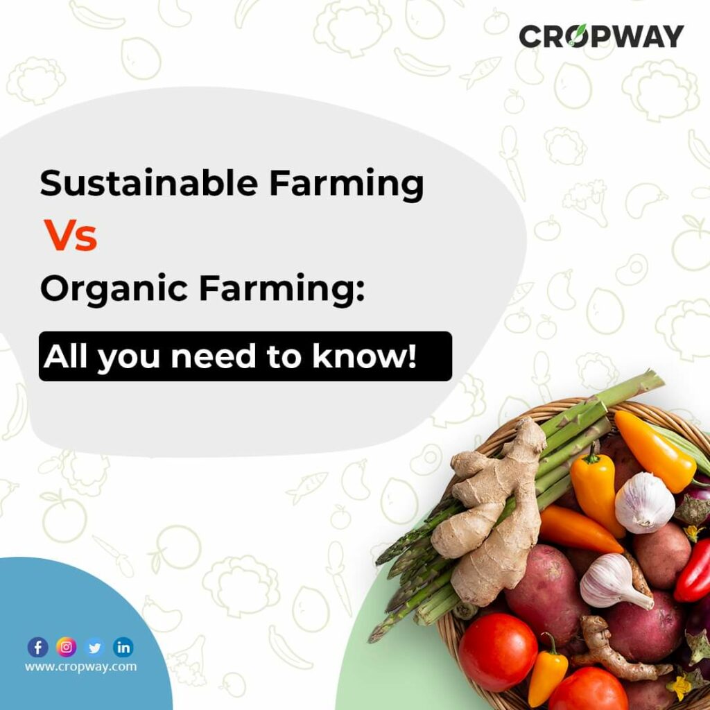 DIFFERENCE BETWEEN ORGANIC FARMING AND SUSTAINABLE AGRICULTURE 