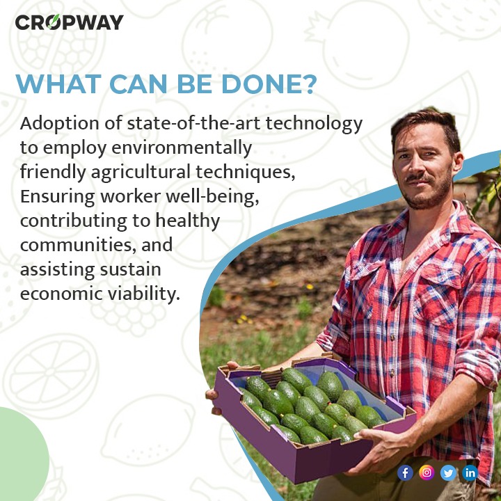 Avacados Adoption of state of the art technology to employ enviromentally friendly