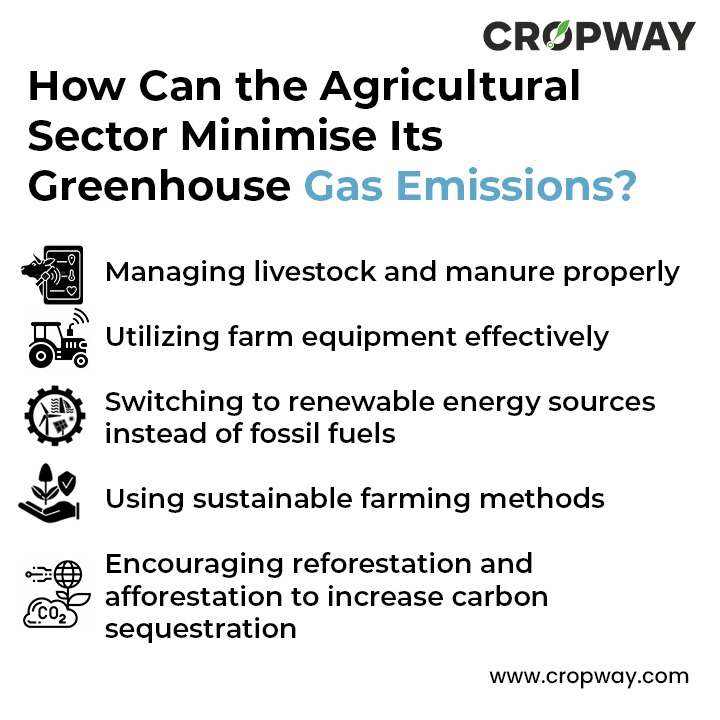 How can the agricultural sector minimise its greenhouse gas emissions

