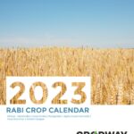 Rabi Crop Calendar