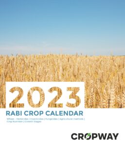 Rabi Crop Calendar