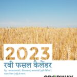 Rabi crop calender hindi