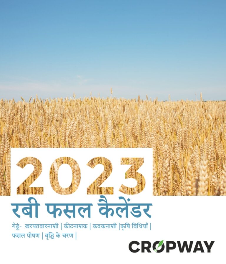 Rabi crop calender hindi