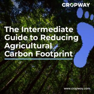 How can the agricultural sector minimise its greenhouse gas emissions