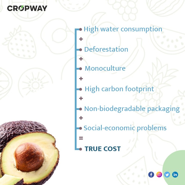 Avacados High water consumption , Deforestatiion , monoculture , high carbon footprint True cost