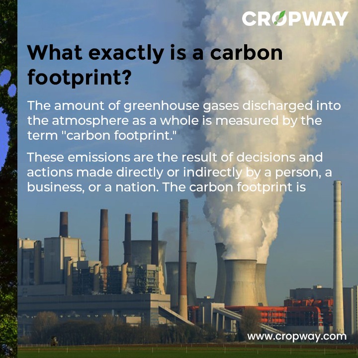 what exactly is a carbon footprint