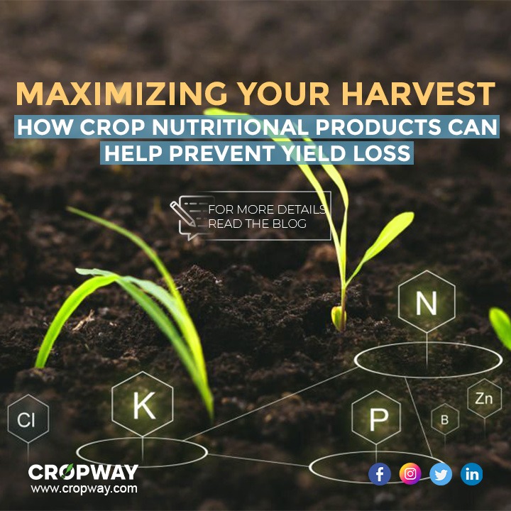 Maximizing your harvest 
