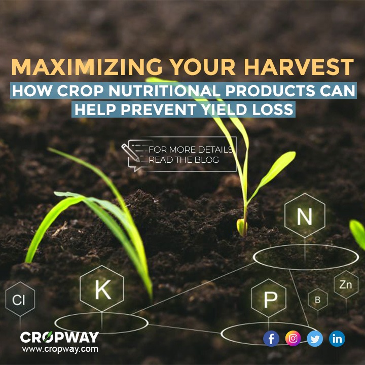 Maximizing your harvest