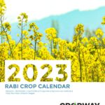 Rabi Crop Calendar-Mustard