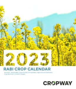 Rabi Crop Calendar-Mustard