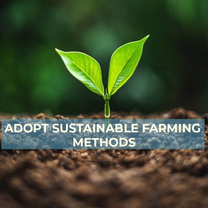 Adopt Sustainable Farming Methods