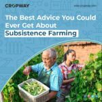 The Best Advice You Could Ever Get About Subsistence Farming