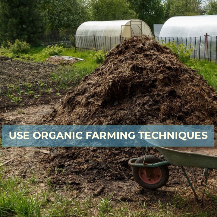 Use Organic Farming Techniques