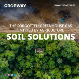 The Forgotten Greenhouse Gas Emitted by Agriculture: Soil Solutions