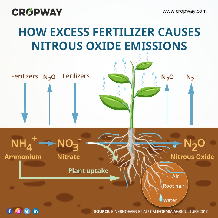 How excess fertilizer causes nitrous oxide emissions