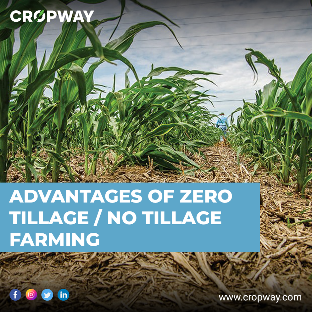 Advantages of Zero Tillage / No Tillage Farming