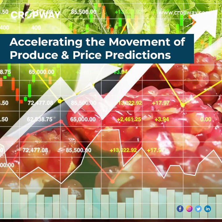 Accelerating the Movement of Produce& Price Predictions