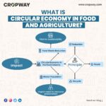 What Is Circular Economy In Food And Agriculture?