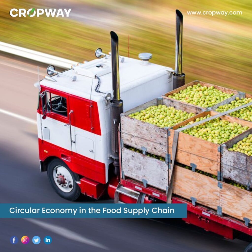 Circular Economy in the Food Supply Chain