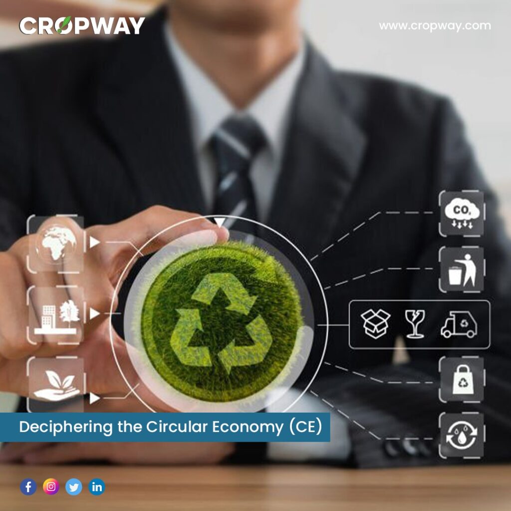Deciphering the Circular Economy (CE)