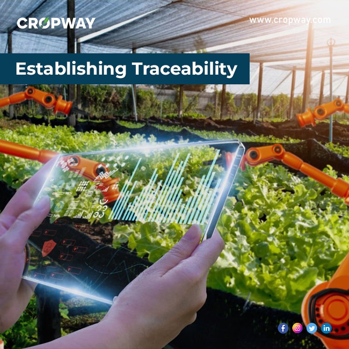 Establishing Traceability