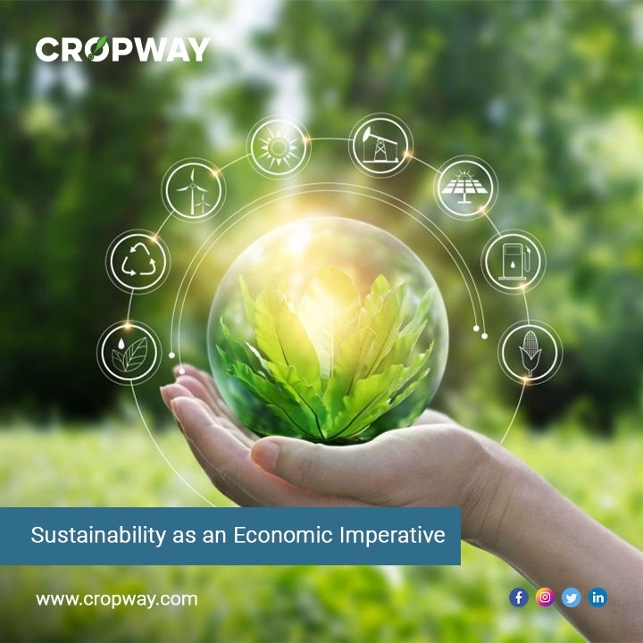 Sustainability as an Economic Imperative