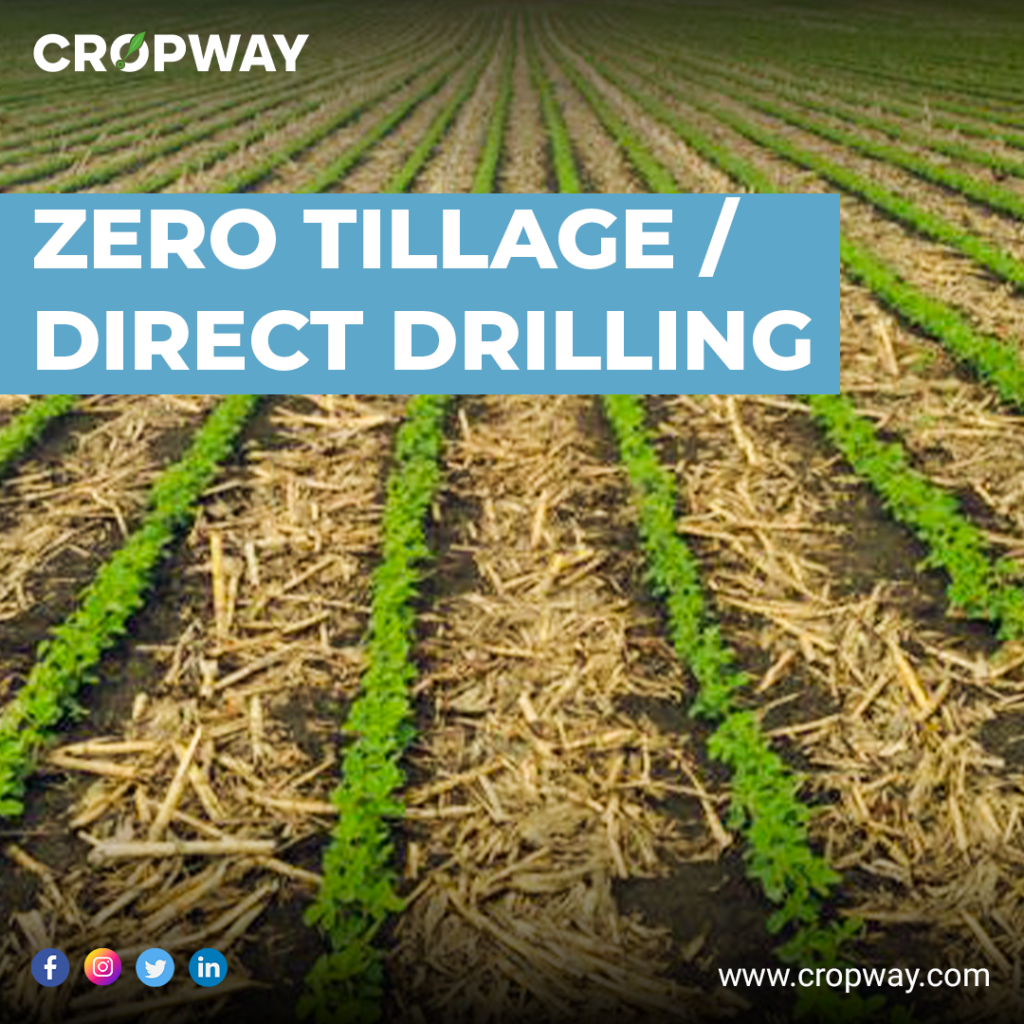 Zero Tillage Farming / Direct Drilling