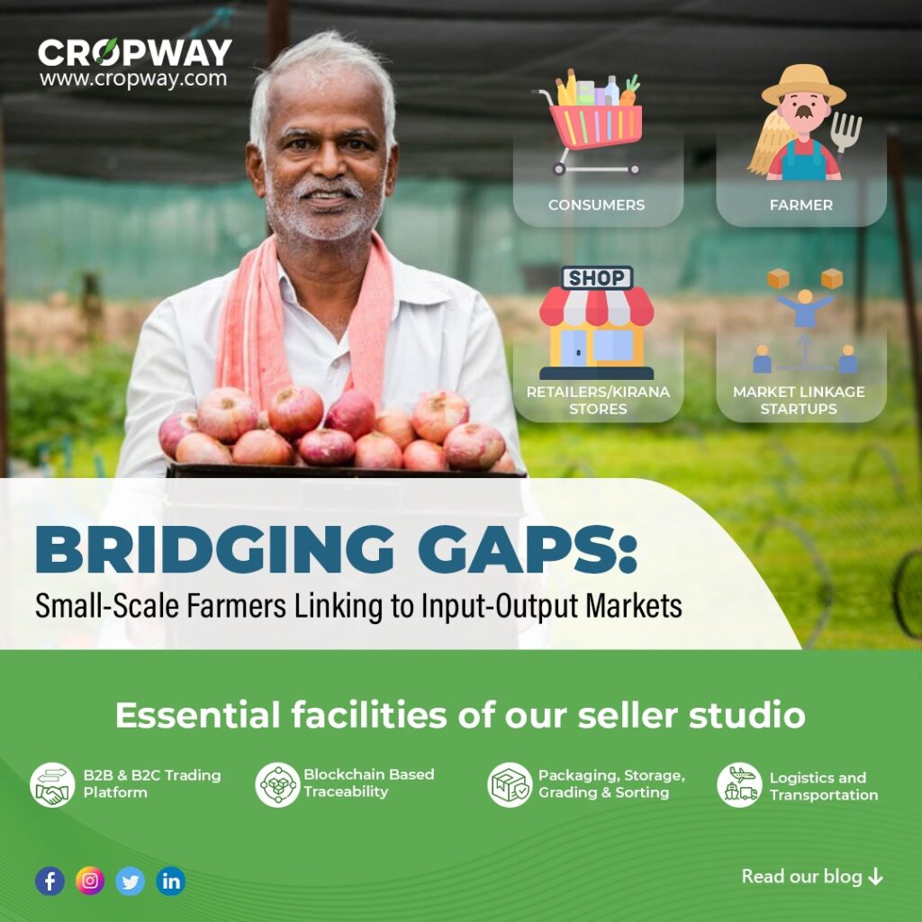 Bridging Gaps: Small-Scale Farmers Linking to Input-Output Markets