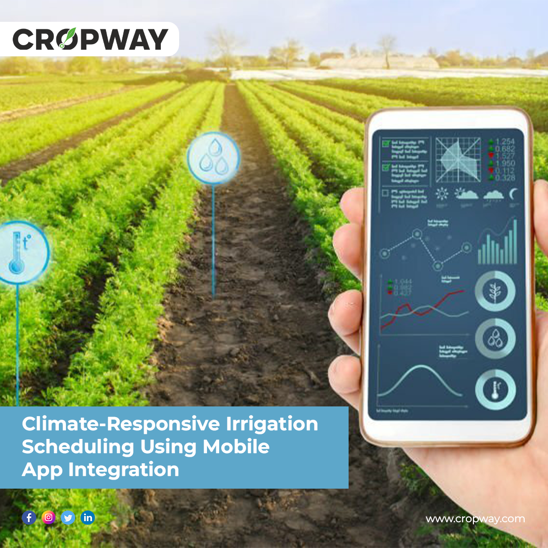 Smart Irrigation Key Trends Innovative Growth Drivers 2023 CROPWAY 2025