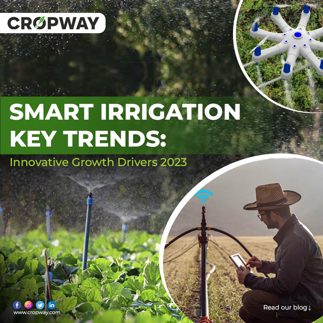 Smart Irrigation Key Trends Innovative Growth Drivers 2023 CROPWAY 2024
