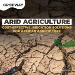 Arid Agriculture Cost-Effective Irrigation Solutions for Vast Dry Lands in African Nations