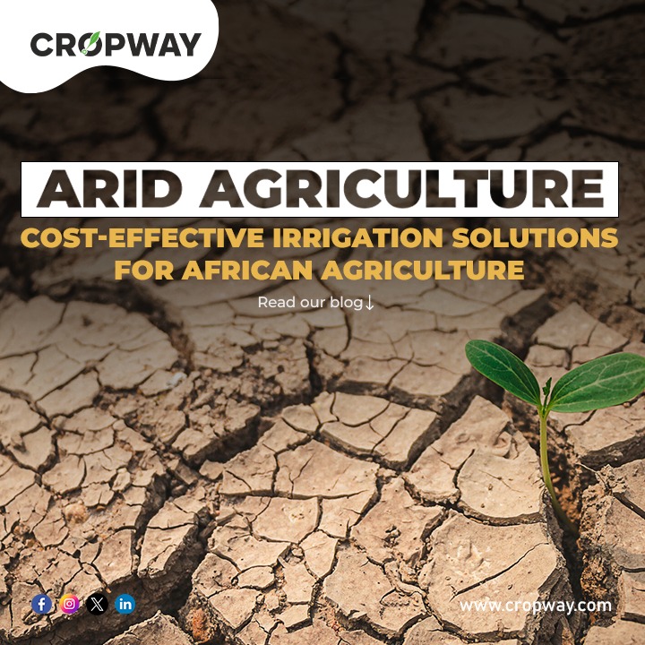 Arid Agriculture Cost-Effective Irrigation Solutions for Vast Dry Lands in African Nations