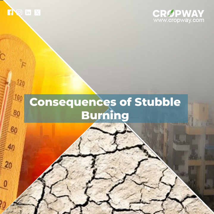 Consequences of Stubble Burning