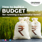 Effective Farm Management Diverse Budgeting Methods