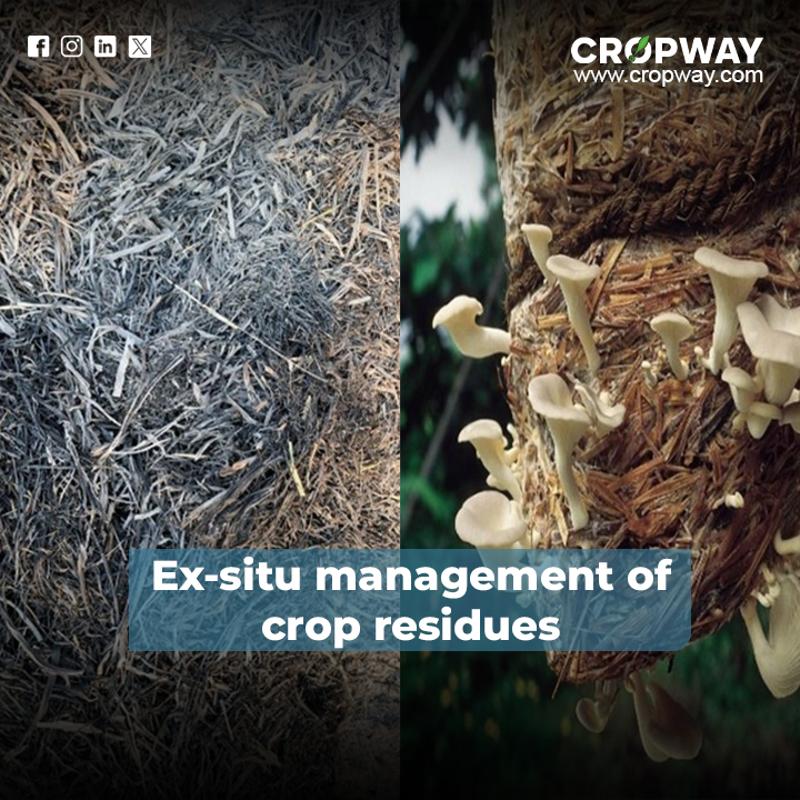 Ex-situ management of crop residues