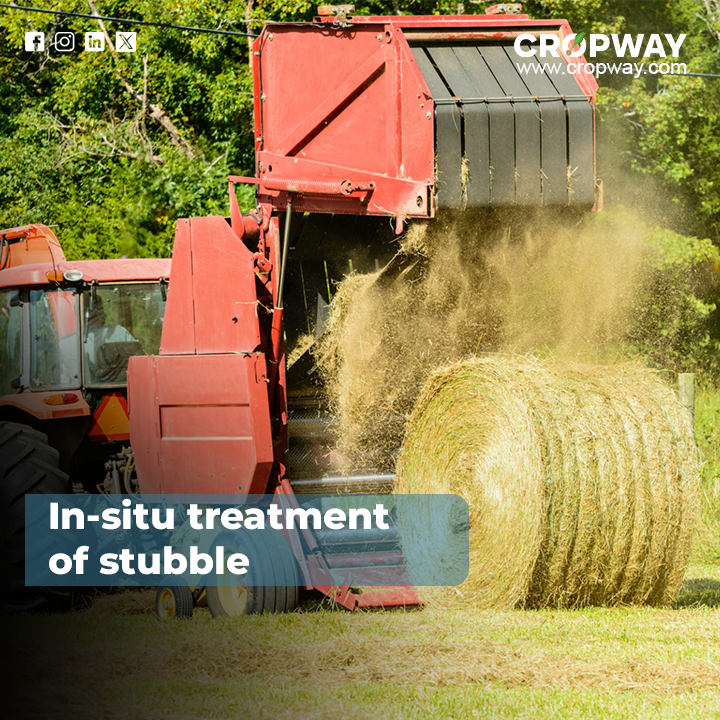 In-situ treatment of stubble Burning