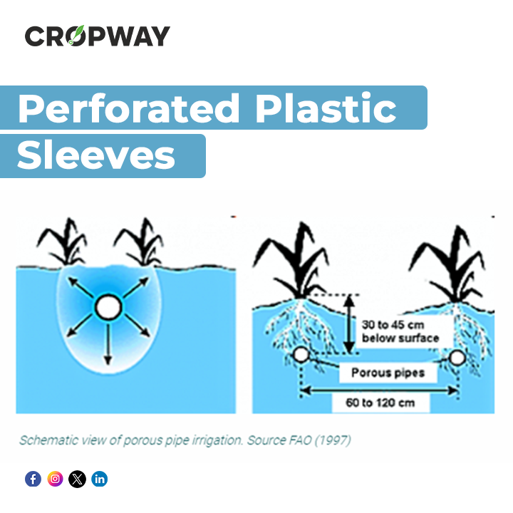 This variant of subsurface irrigation involves thin plastic sheeting forming a sleeve-like casing filled with sand before placement in soil. However, this method has drawbacks: the sand filling reduces water capacity by 50-60%, retaining moisture and limiting outflow. Perforations in the plastic need optimization, as too many can weaken it and allow root penetration. Consequently, this method has limitations in delivering water to the soil in both volume and rate. Although it's been used for crops in sandy soils in Senegal, its comparative effectiveness hasn't been systematically tested against other irrigation methods.