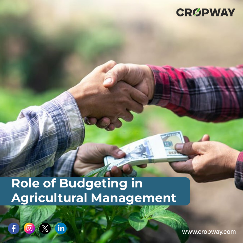 Role of Budgeting in Agricultural Management