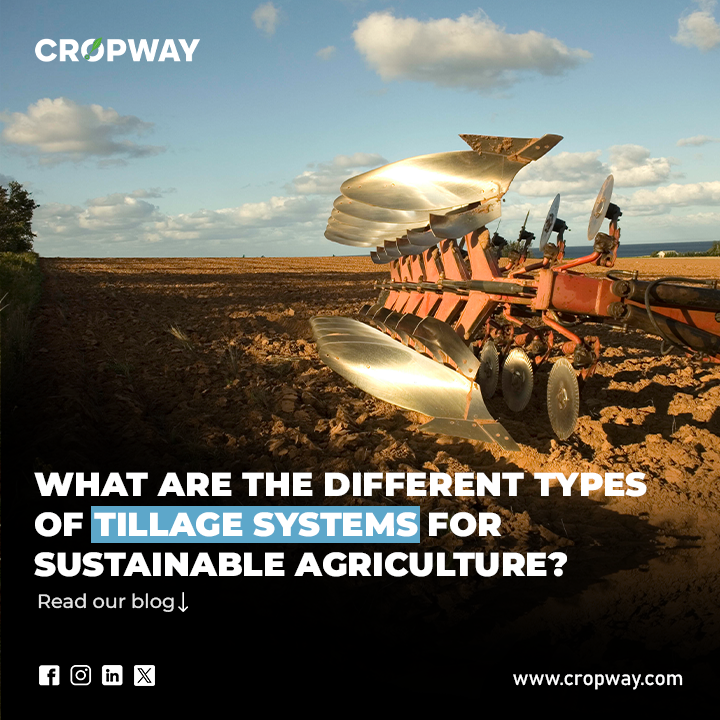 Tillage System for sustainable agriculture