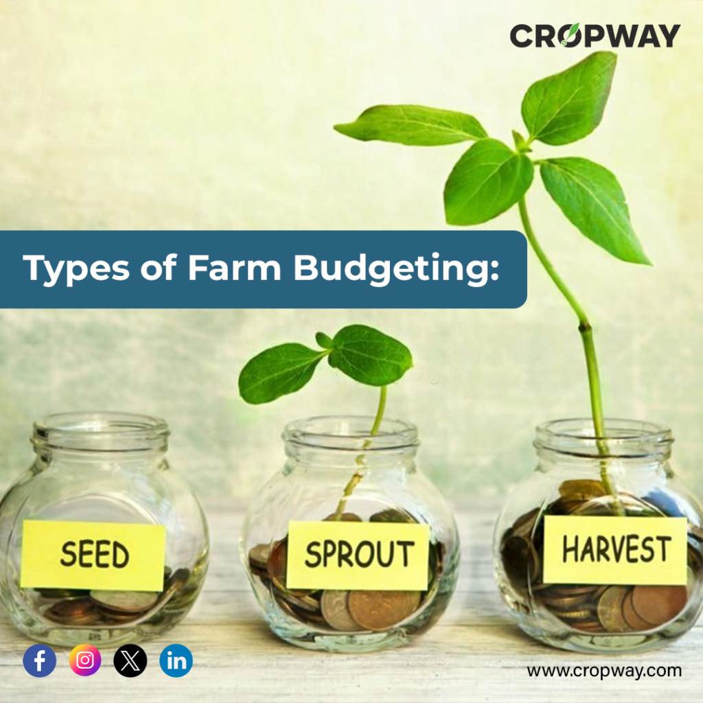 Types of Farm Budgeting