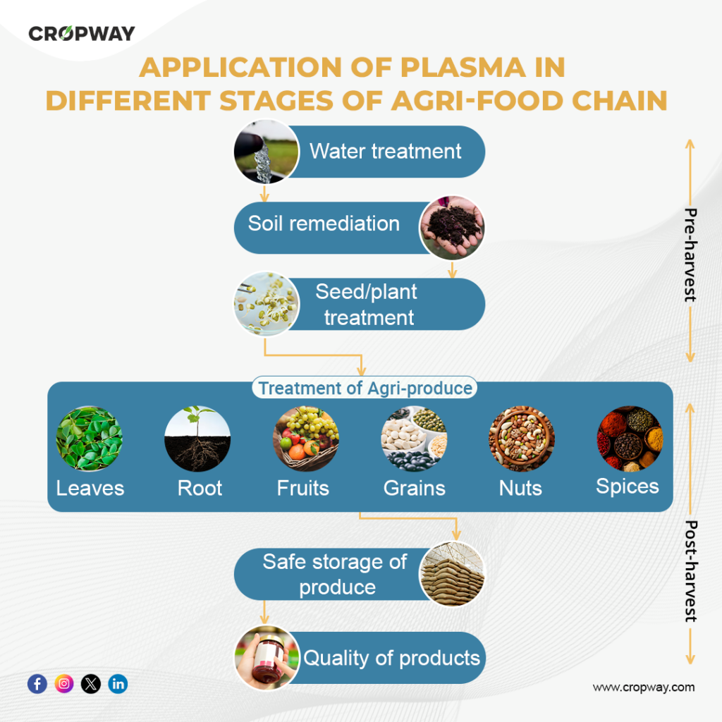 Advancements in Plasma Agriculture