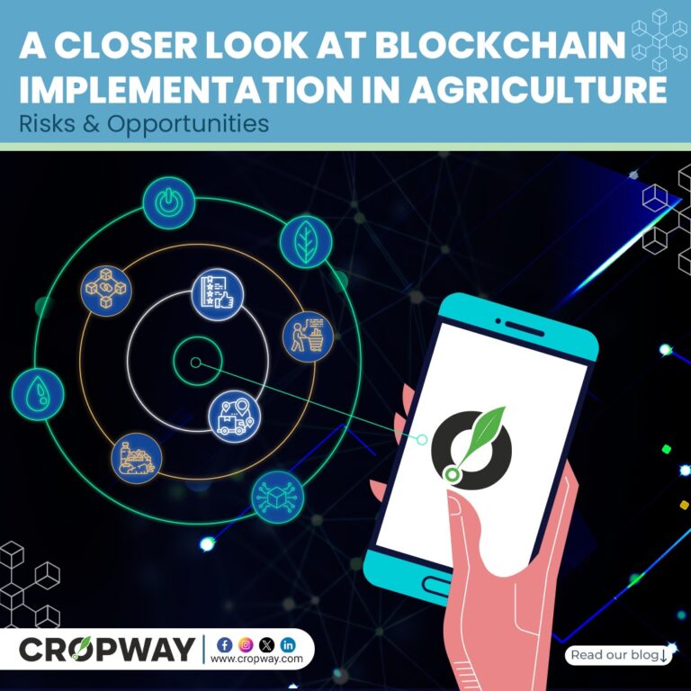Blockchain Implementation in Agriculture