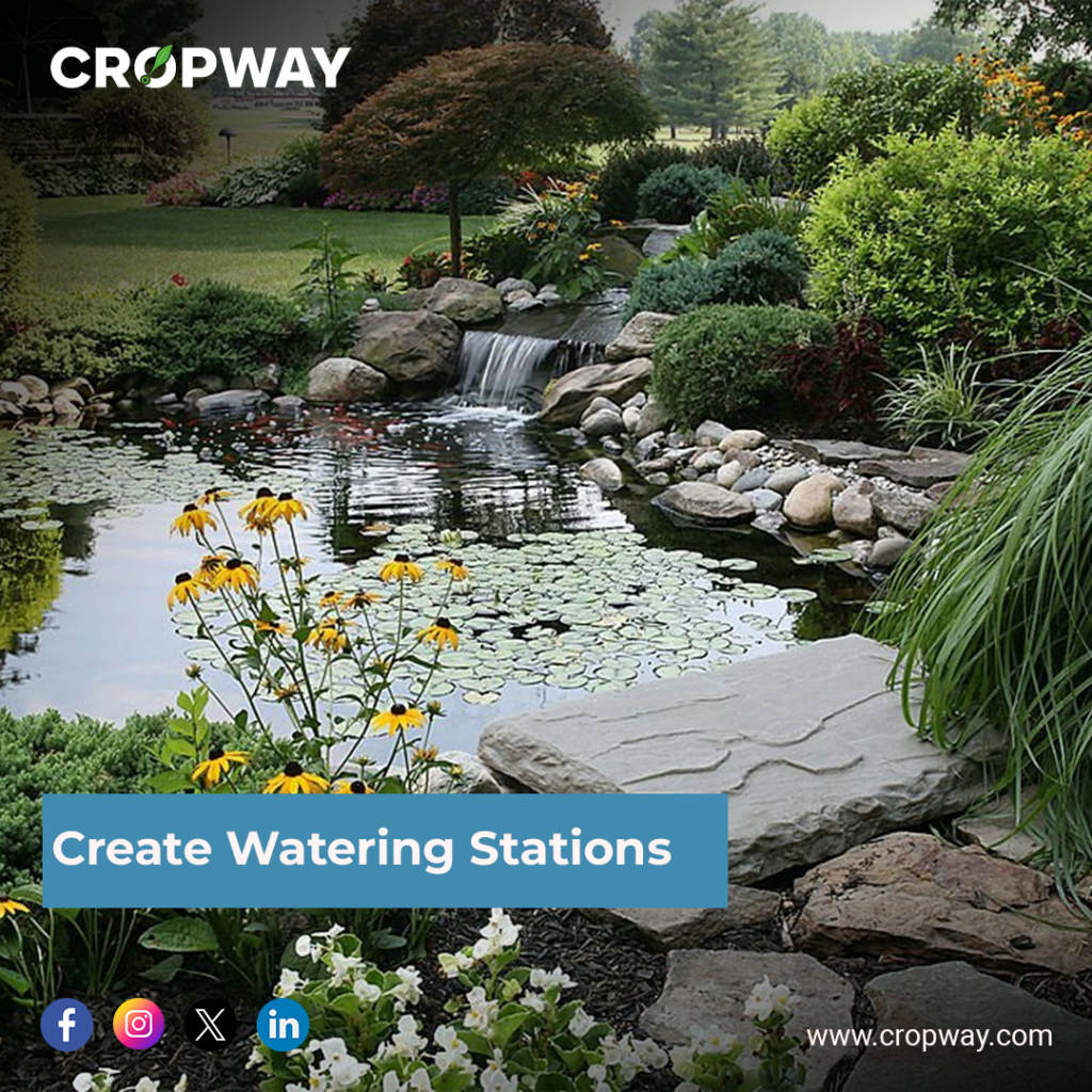 Create Watering Stations-Pollinators